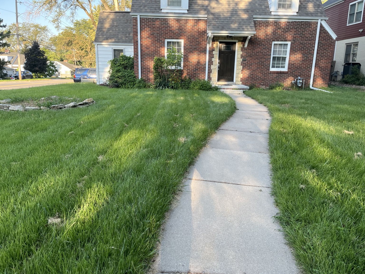 Before lawn mowing and cleanup project