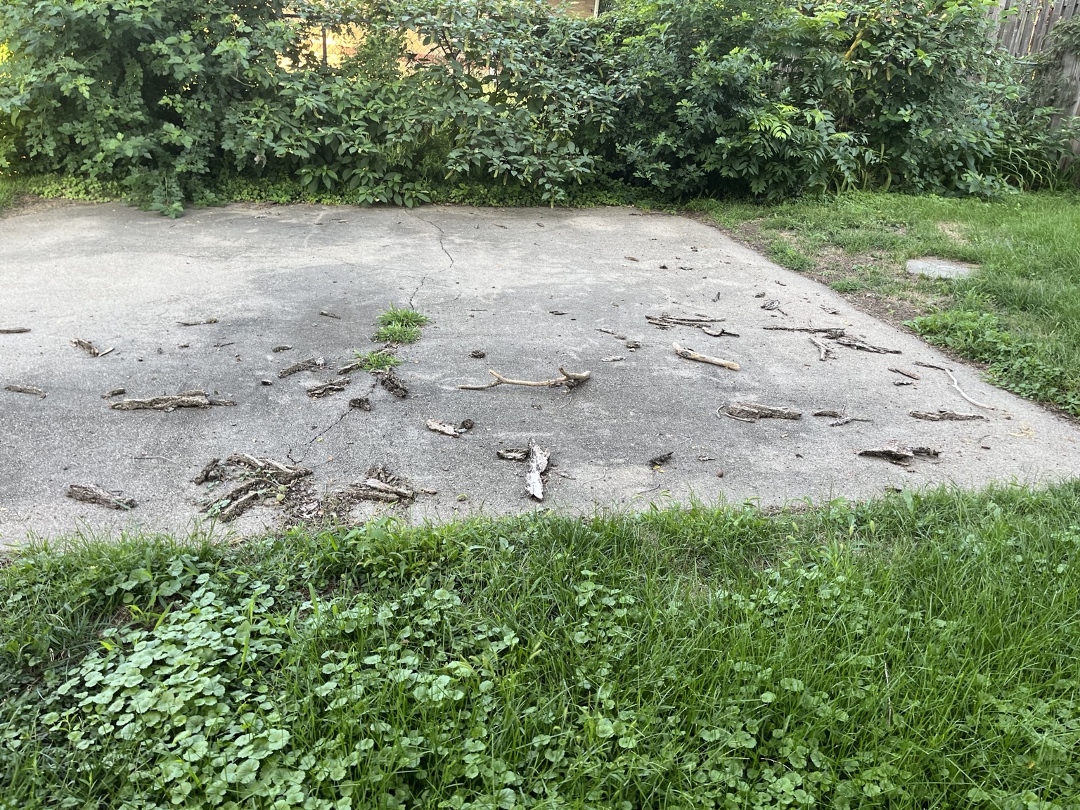 Before debris and yard cleanup