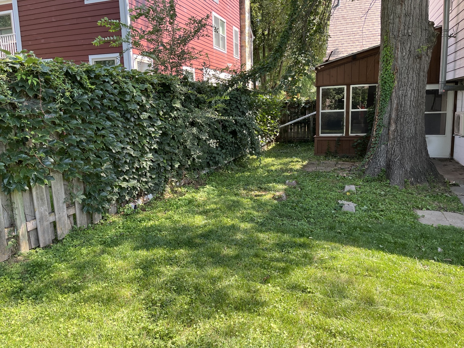 After overgrowth cleanup